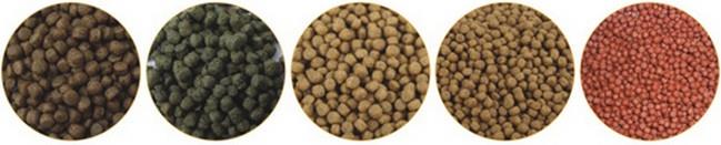 Bird Food Making Machine Bird Food Making Machine